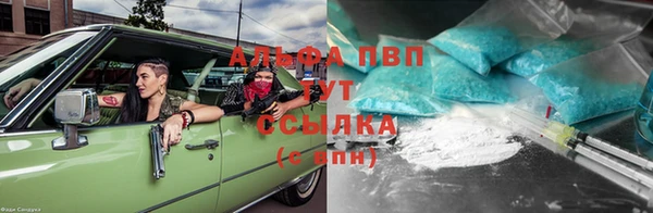 круглые Магас