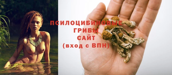 молекула духа Майский