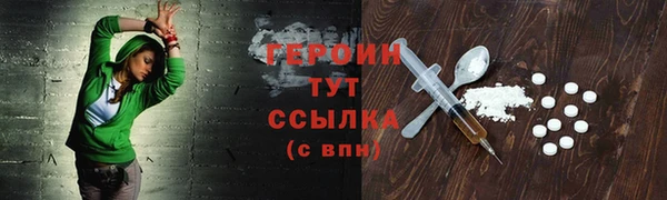 прущие грибы Магадан