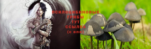 хмурый Липки