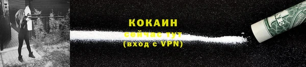 прущие грибы Магадан