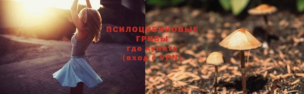 хмурый Липки