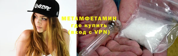 прущие грибы Магадан